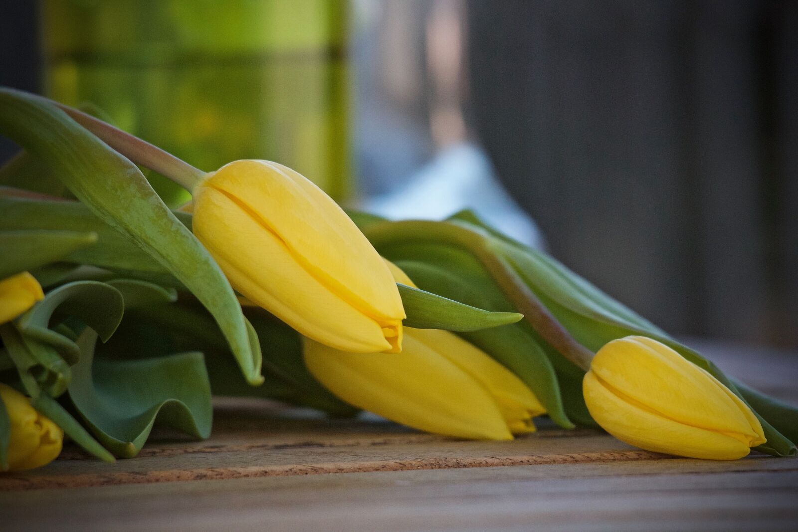 Canon EOS M sample photo. Tulips, yellow tulips, bouquet photography