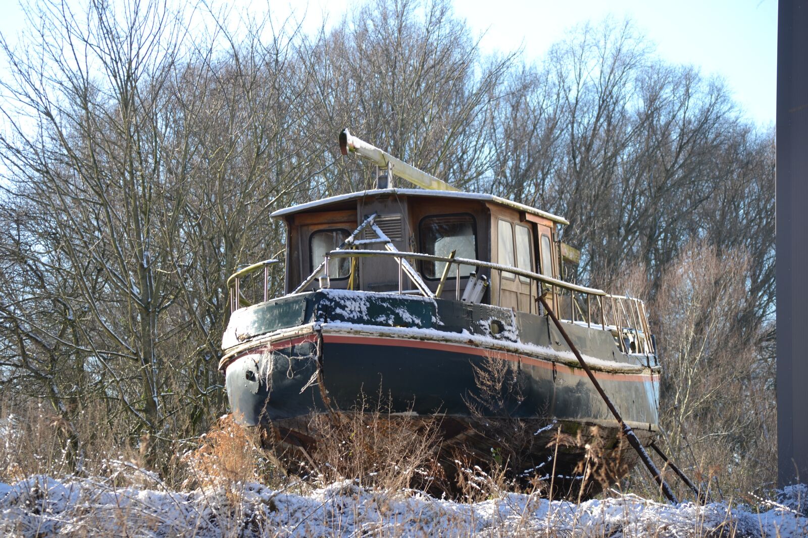 Nikon D3100 sample photo. Winter, wood, snow photography