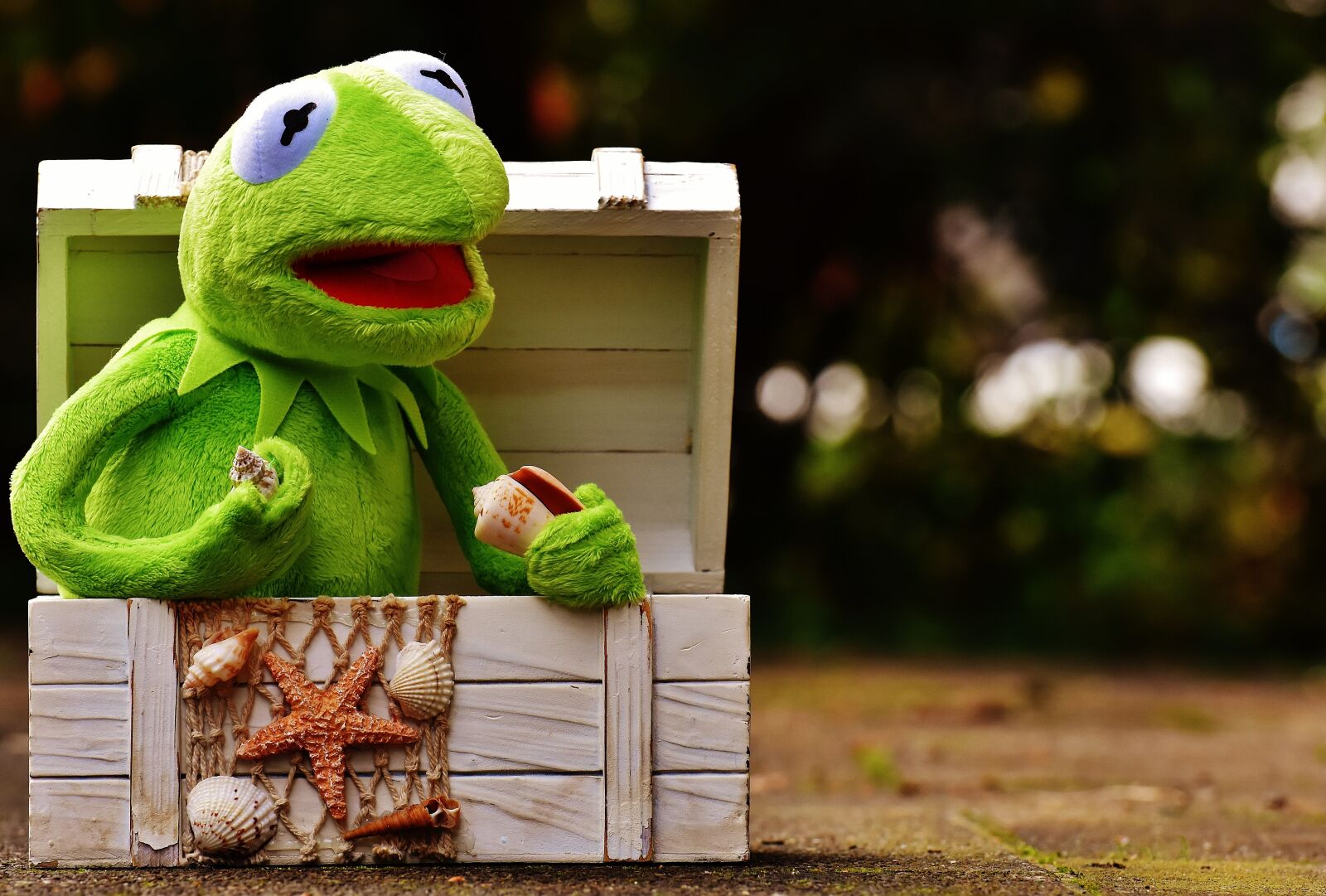 Nikon D7200 sample photo. Kermit, frog, chest photography