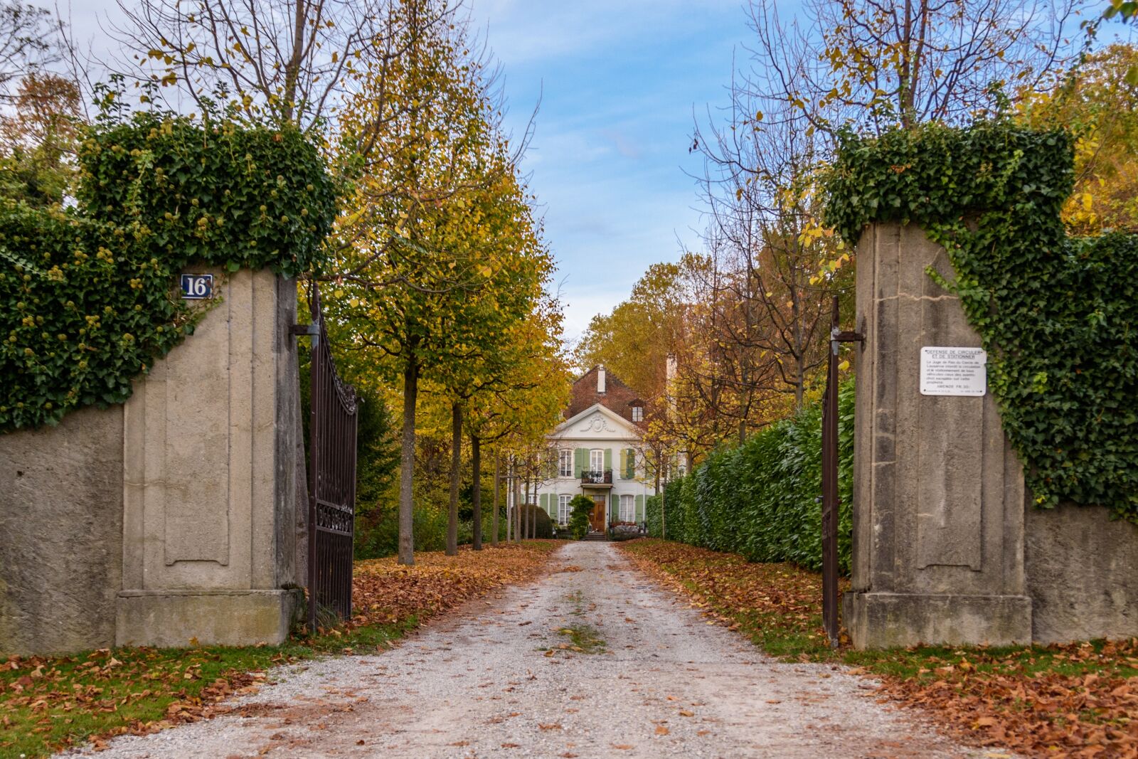 Nikon D5500 sample photo. Country house, garden, goal photography