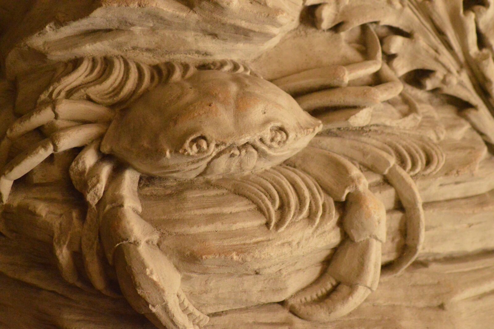 Nikon D3200 sample photo. Sculpture, pierre, crab photography