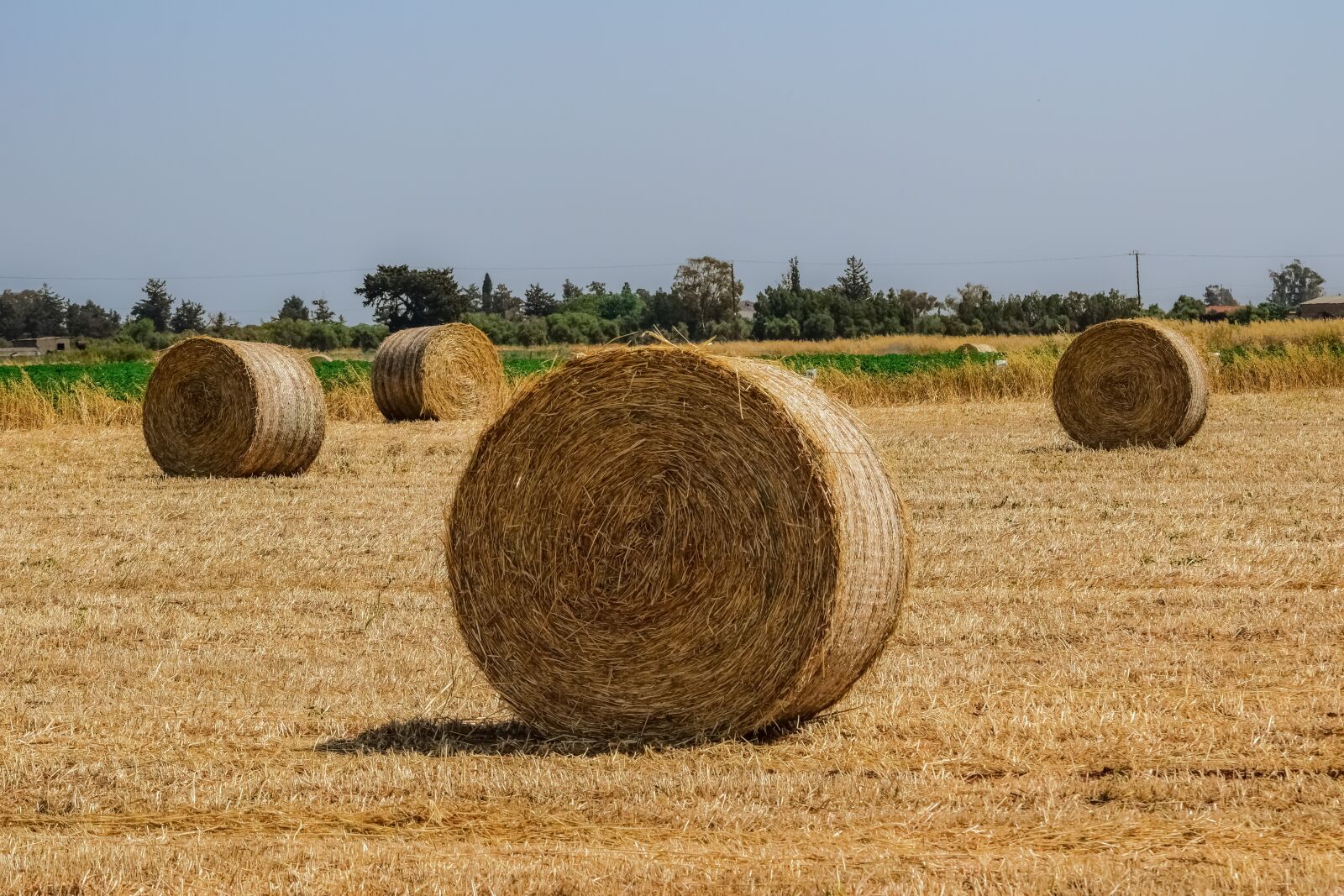 Nikon D3300 sample photo. Hay, straw, bale photography