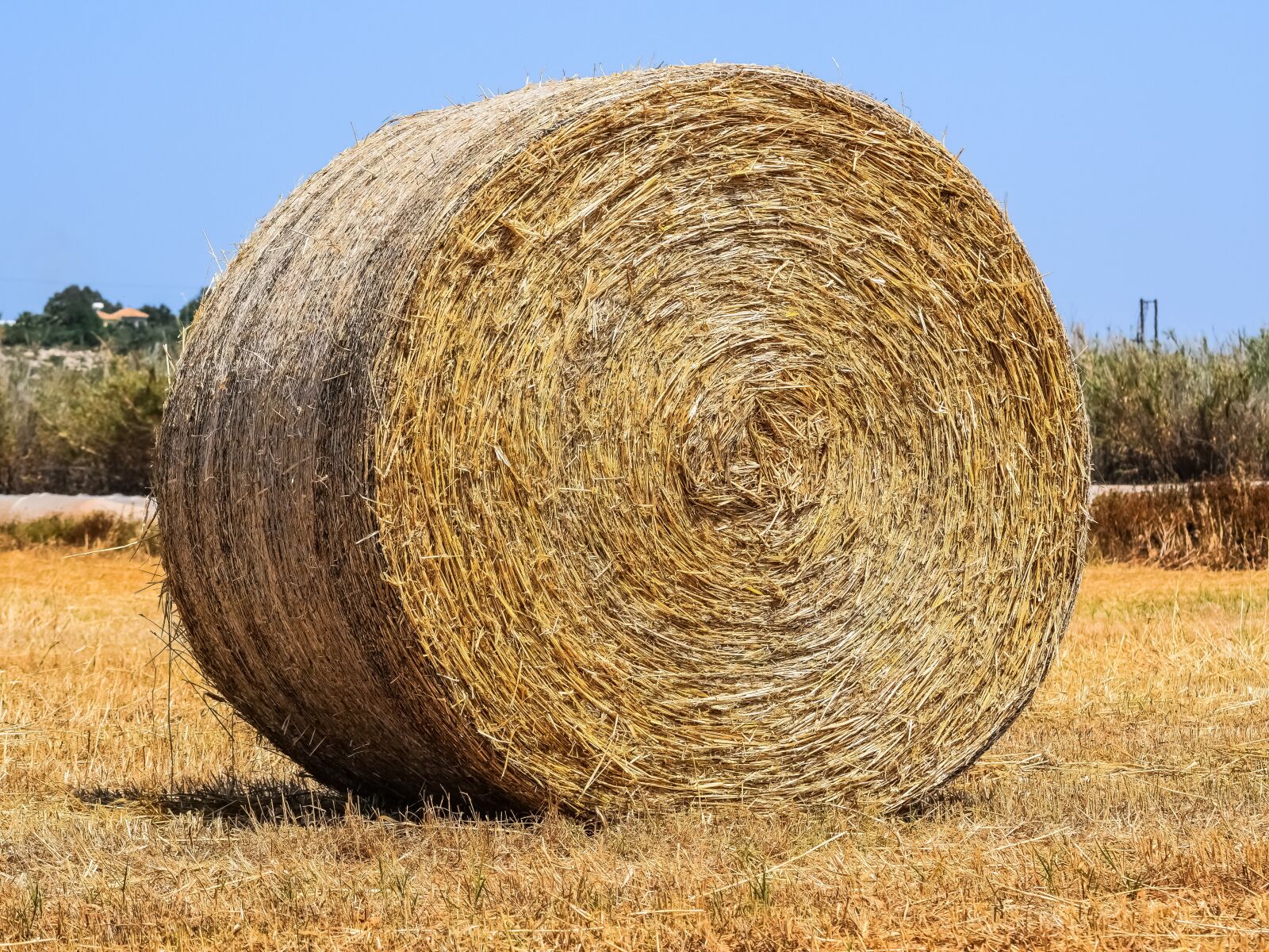 Nikon D3300 sample photo. Straw, hay, agriculture photography