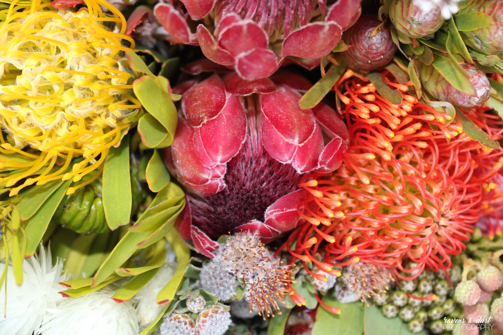 Canon EOS 600D (Rebel EOS T3i / EOS Kiss X5) sample photo. Protea, flowers, bouquet photography