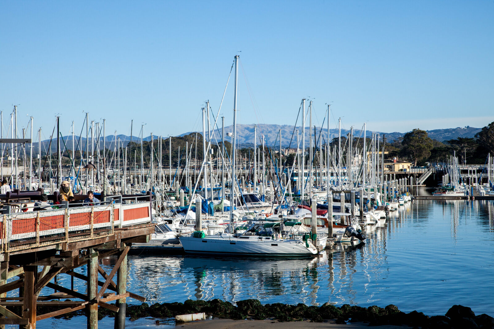 Canon EF 24-105mm F4L IS USM sample photo. Harbor, harbour, sail, boats photography