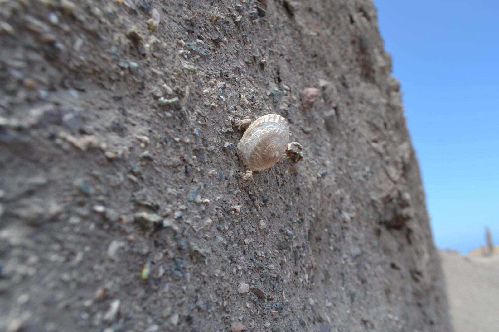 Nikon D3100 sample photo. Chile, ghost town, tsunami photography