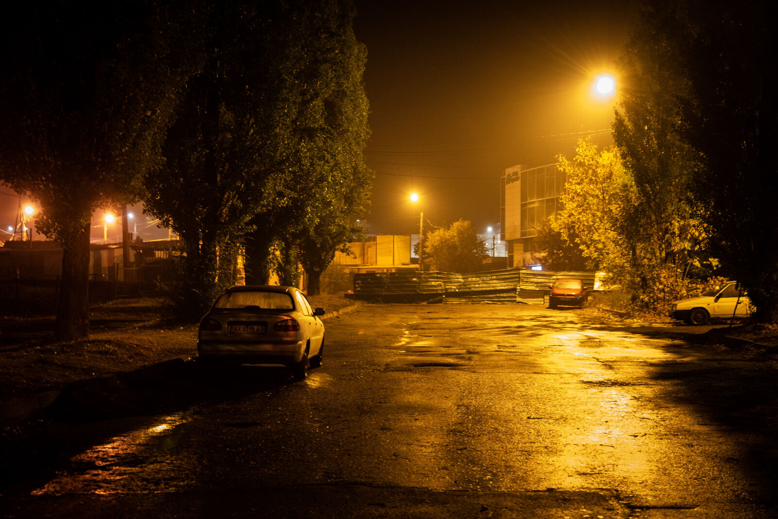 Nikon D750 sample photo