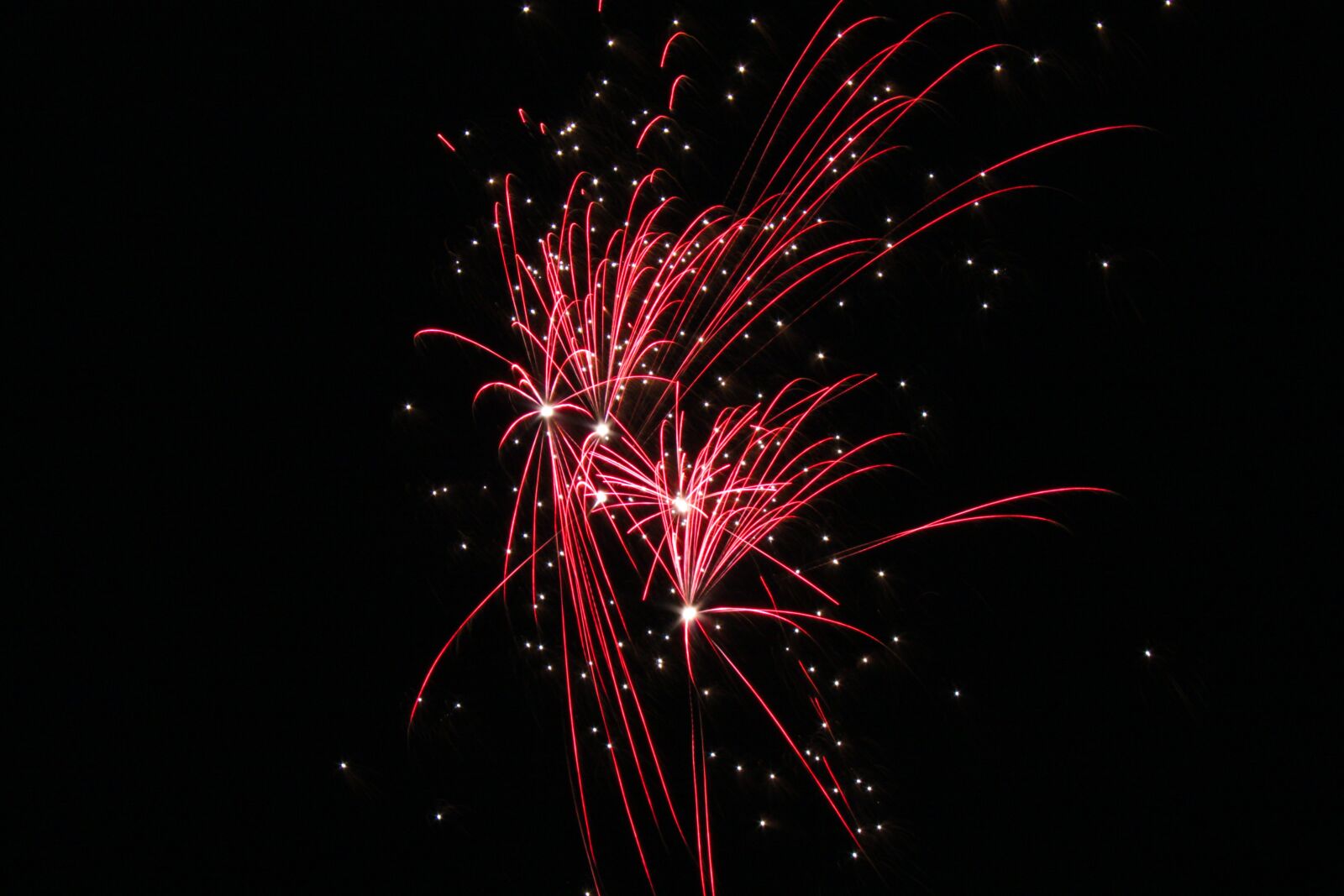 Canon EOS 500D (EOS Rebel T1i / EOS Kiss X3) sample photo. Firework, night, festival photography