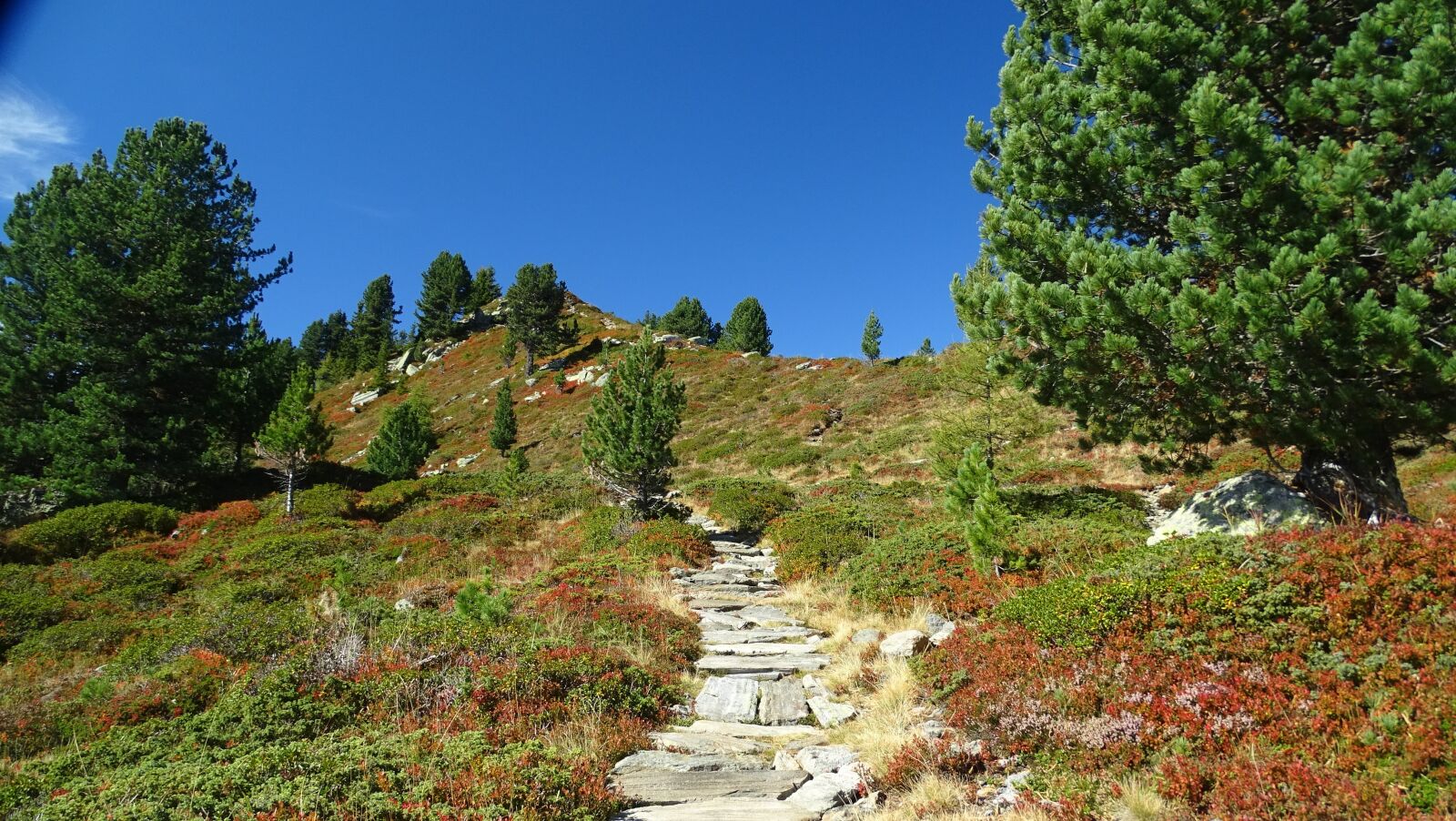 Sony Cyber-shot DSC-HX400V sample photo. South tyrol, autumn, nature photography