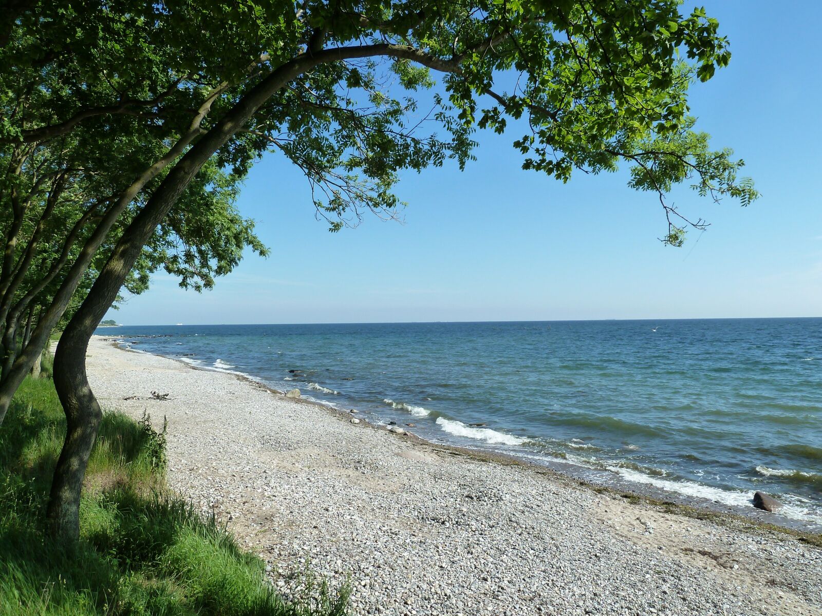 Panasonic Lumix DMC-ZS7 (Lumix DMC-TZ10) sample photo. Baltic sea, beach, vacations photography