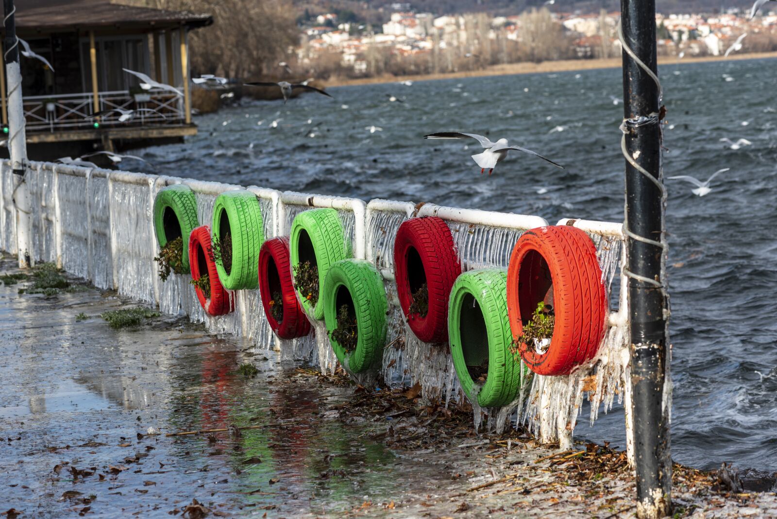 Nikon D750 sample photo. Ice, cold, winter photography