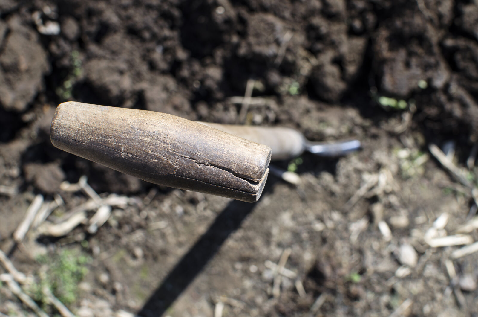 Nikon D5100 + Nikon AF-S DX Nikkor 35mm F1.8G sample photo. Agriculture, background, backyard, blue photography