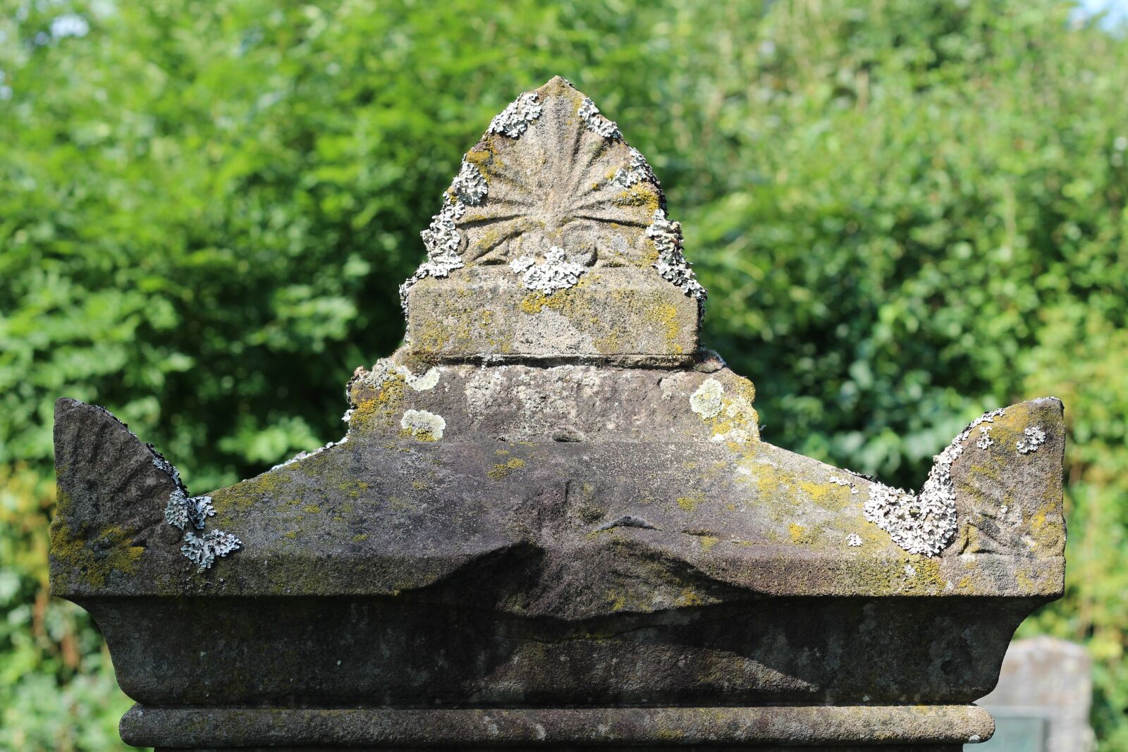 Canon EOS 1200D (EOS Rebel T5 / EOS Kiss X70 / EOS Hi) + Canon EF 50mm F1.8 STM sample photo. Jewish cemetery, tombstone, resting photography