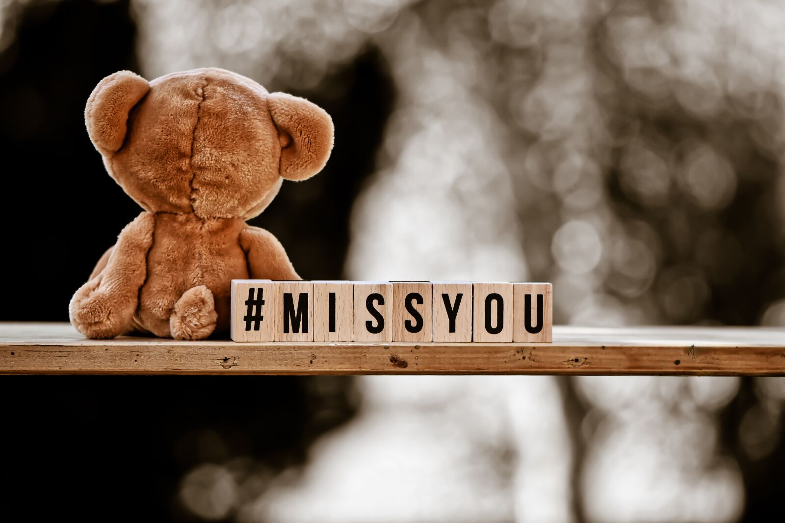 Nikon D7200 sample photo. Bear, teddy, lonely photography