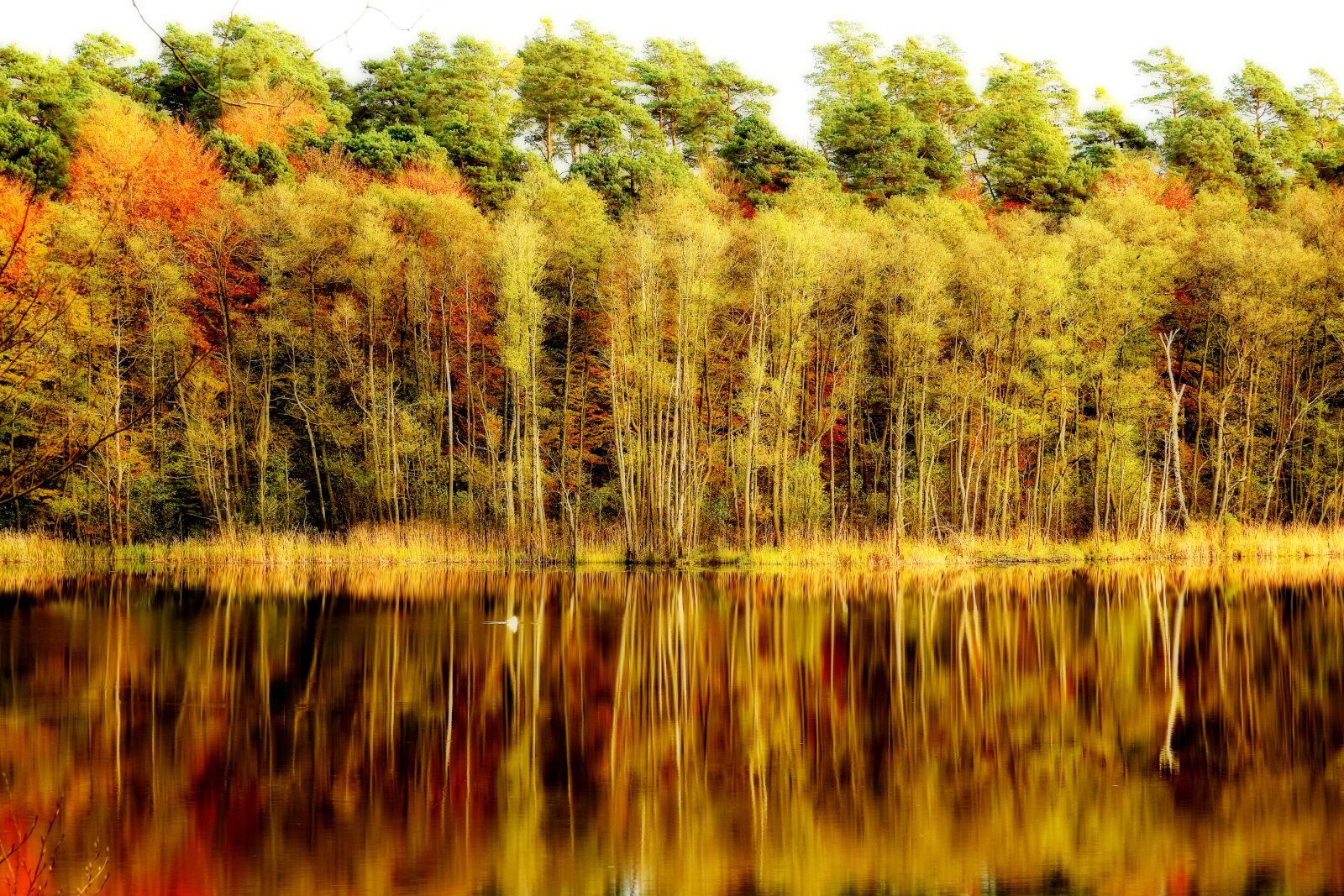Nikon D5300 sample photo. Nature, autumn, landscape photography