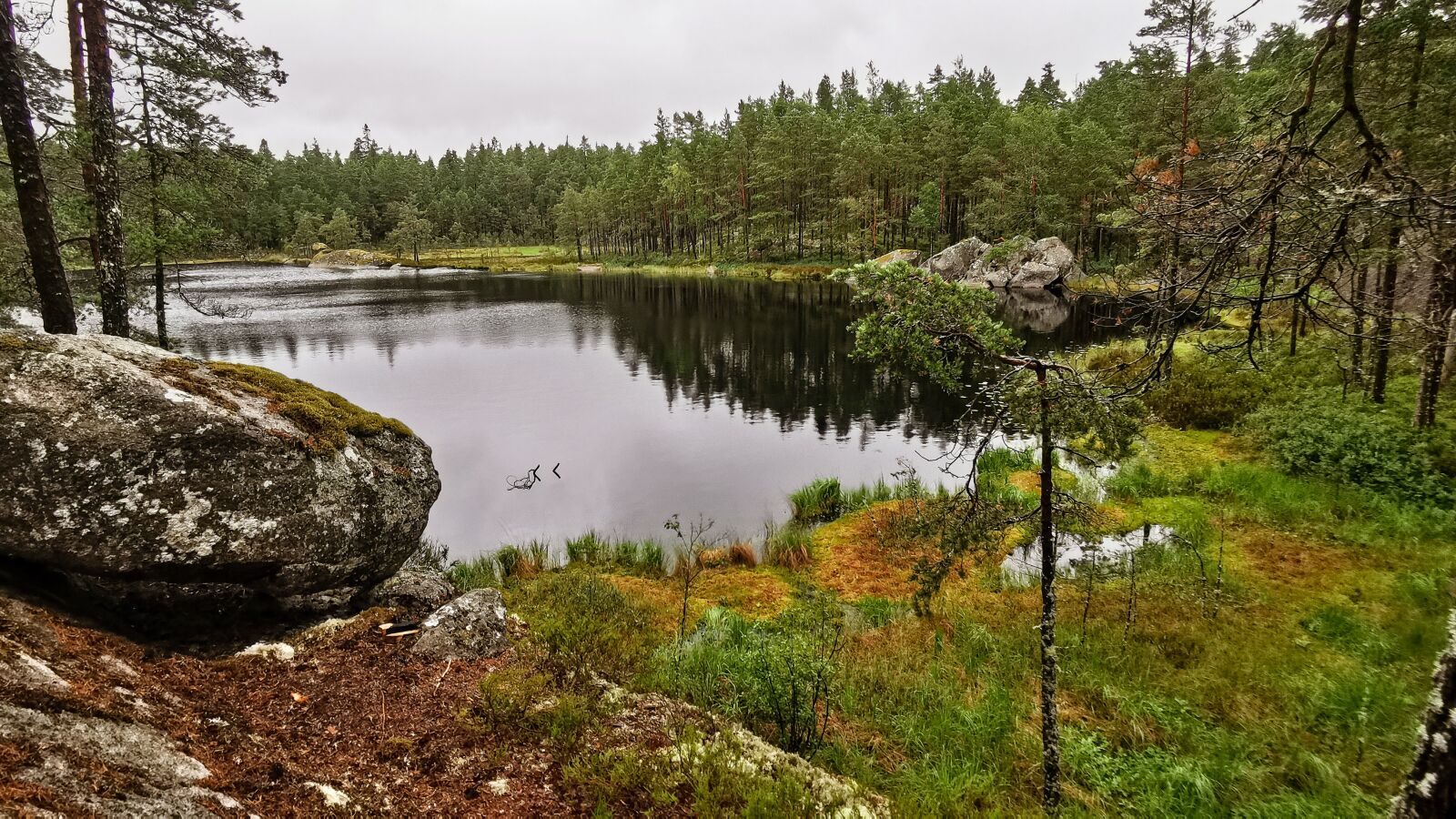 HUAWEI P30 Pro Rear Wide Camera sample photo. Lake, national park, sweden photography
