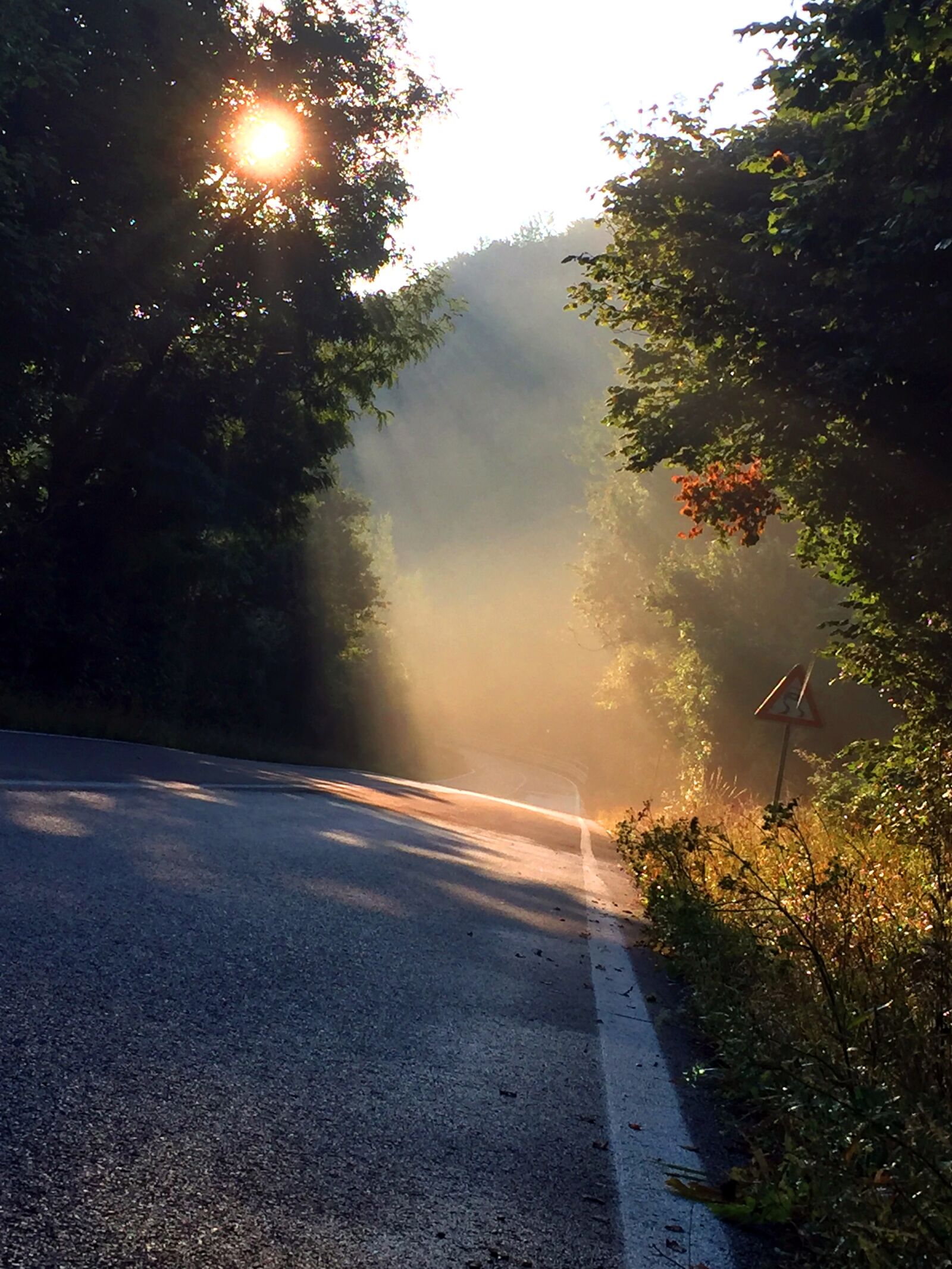 iPhone 6 back camera 4.15mm f/2.2 sample photo. Tuscan morning, mist, italy photography