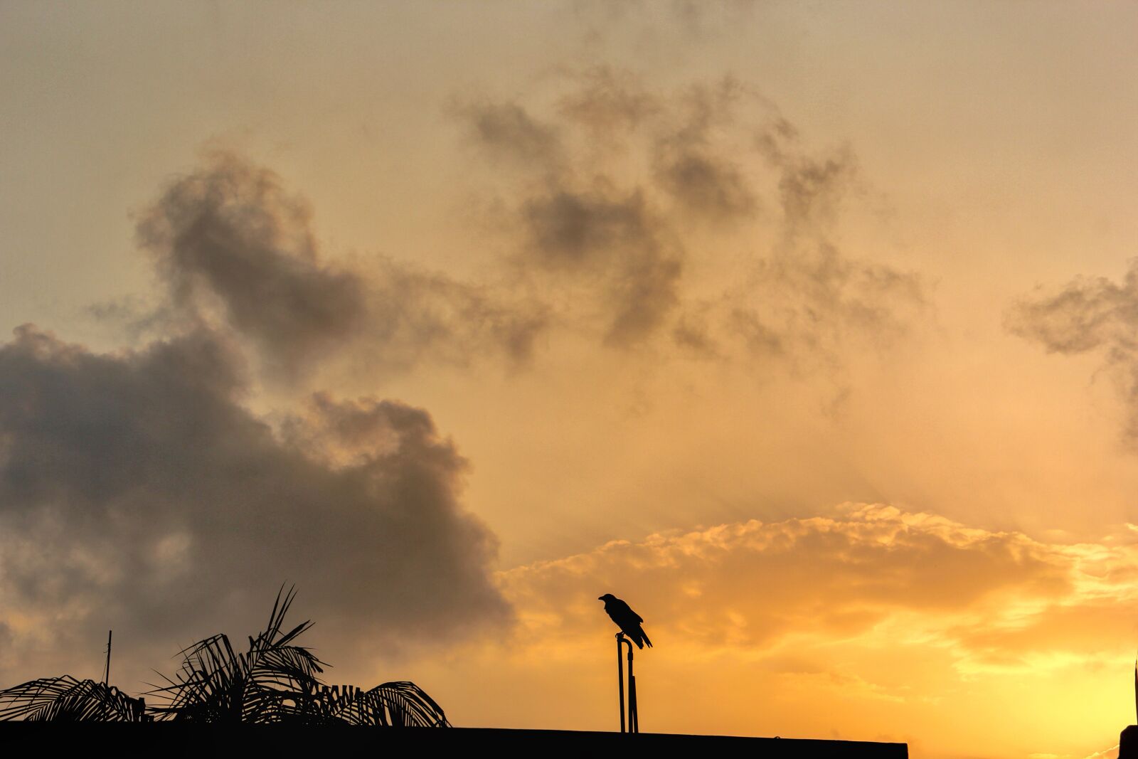 Canon EOS 60D sample photo. Sunset, dawn, panoramic photography