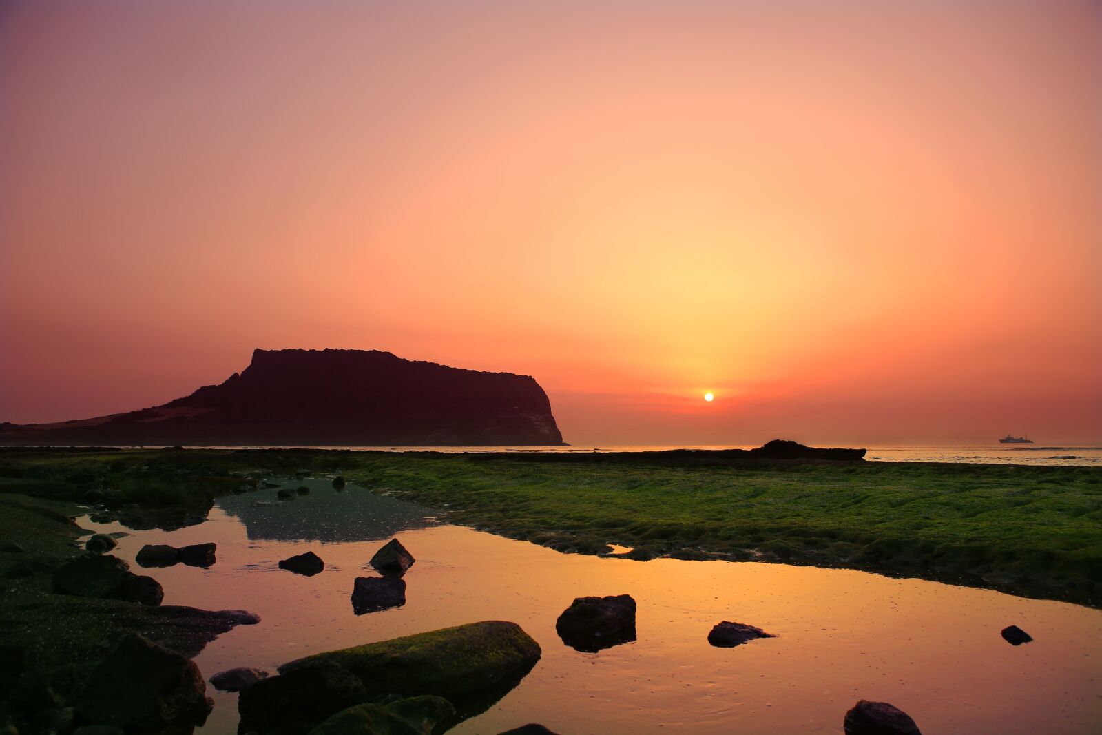 Canon EOS 5D Mark III sample photo. Jeju island, shiroyama hiji photography