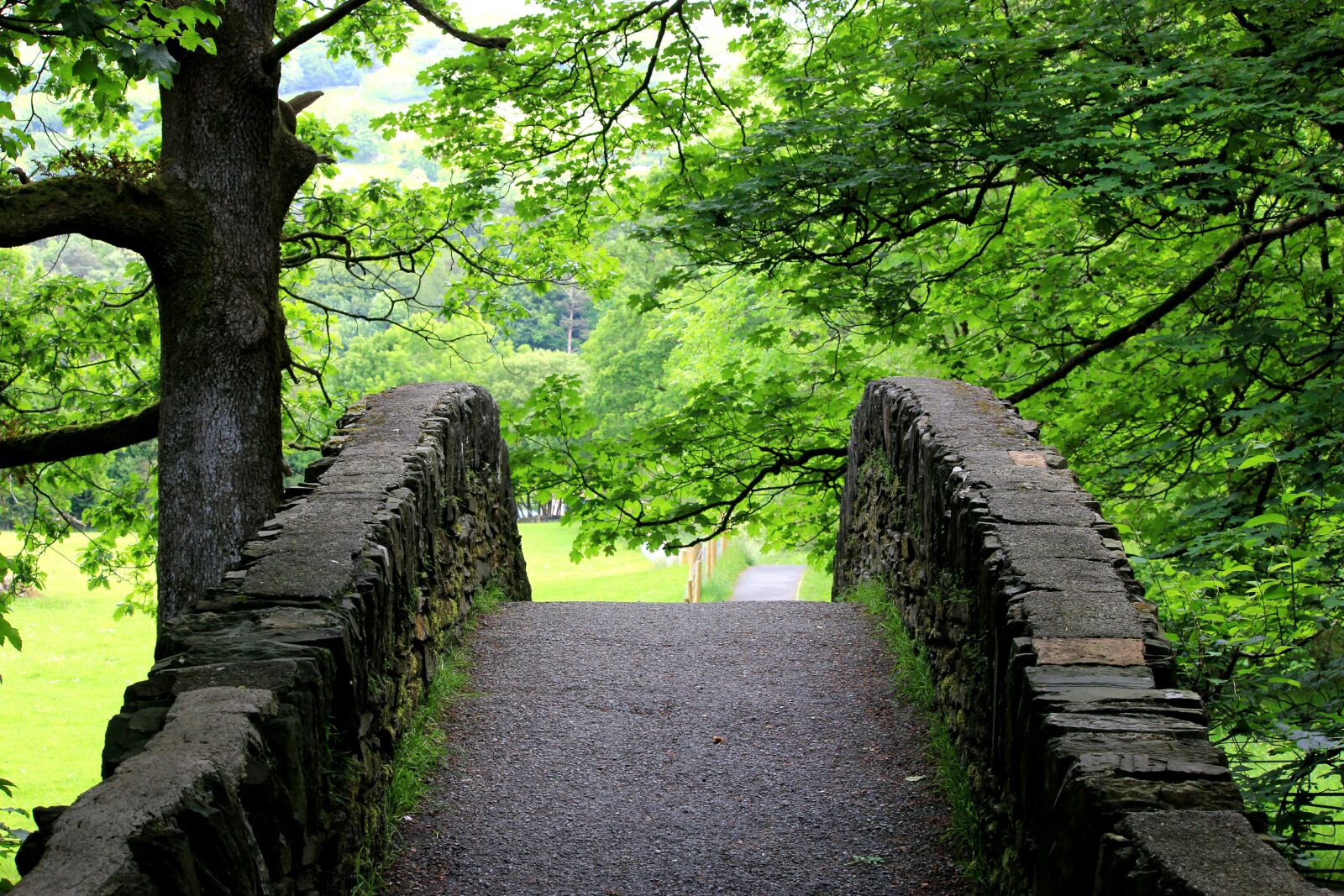 Canon EOS 550D (EOS Rebel T2i / EOS Kiss X4) sample photo. Bridge photography