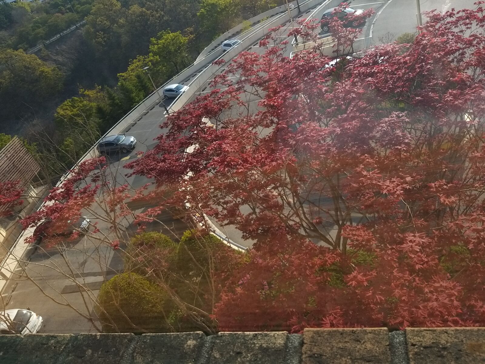 Samsung Galaxy A9 (2018) sample photo. Tree, scenery, airport photography