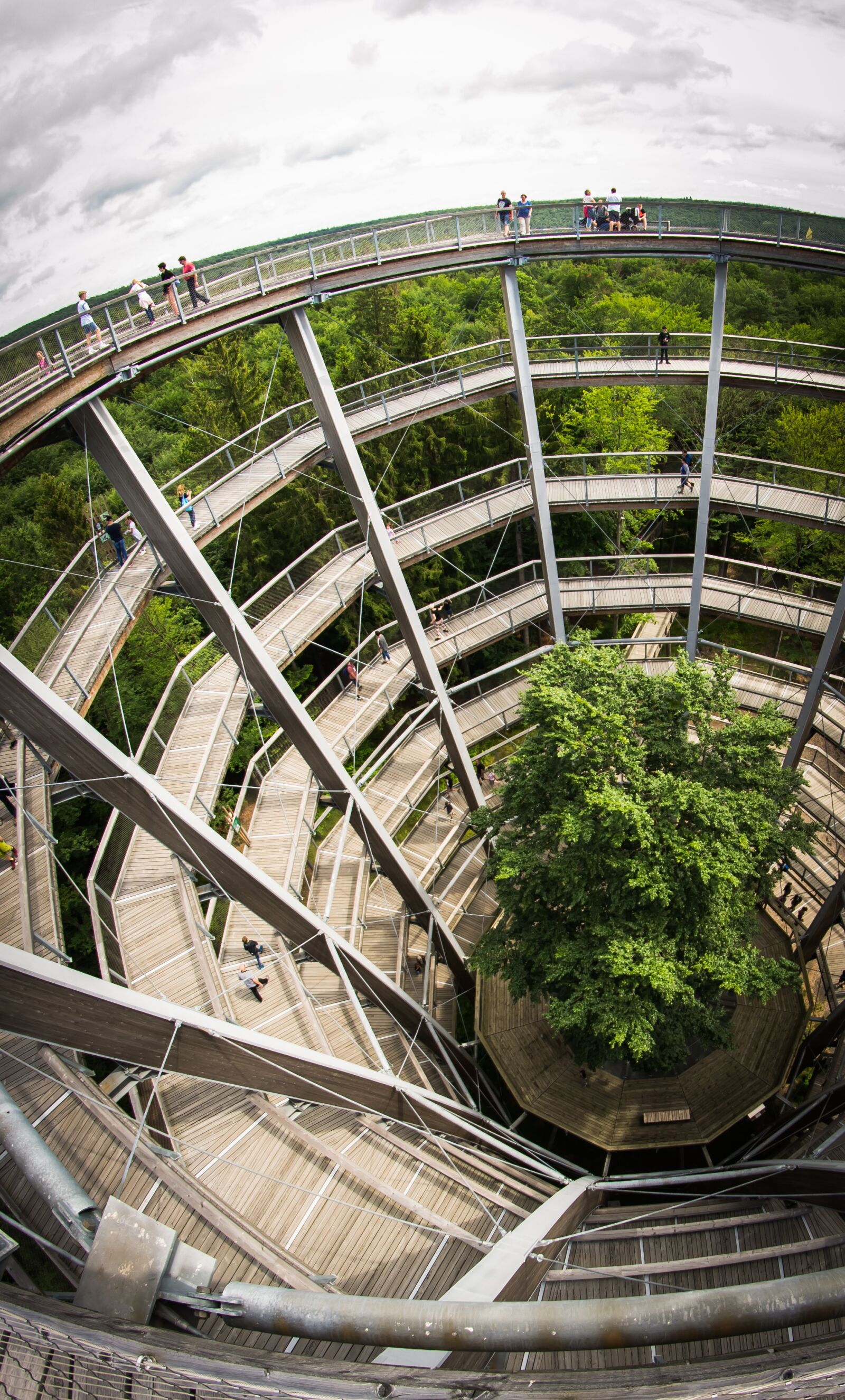 Nikon D3100 sample photo. Treetop walkway steigerwald, steigerwald photography