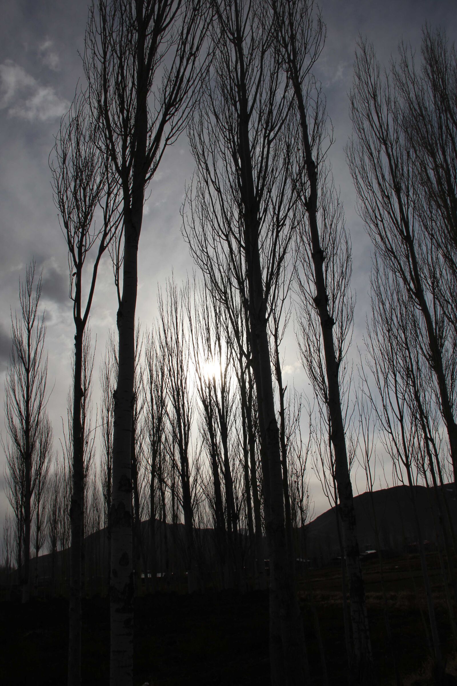 Canon EOS 550D (EOS Rebel T2i / EOS Kiss X4) sample photo. Iran, kashan, 2004 photography
