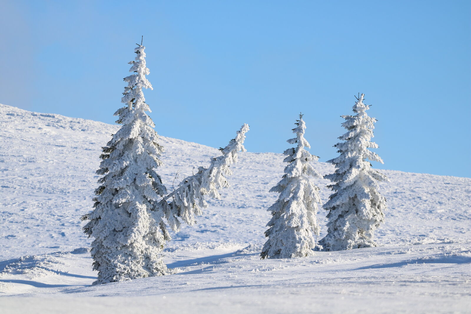 Canon EF 70-200mm F4L USM sample photo. Mountain, resita, romania, semenic photography