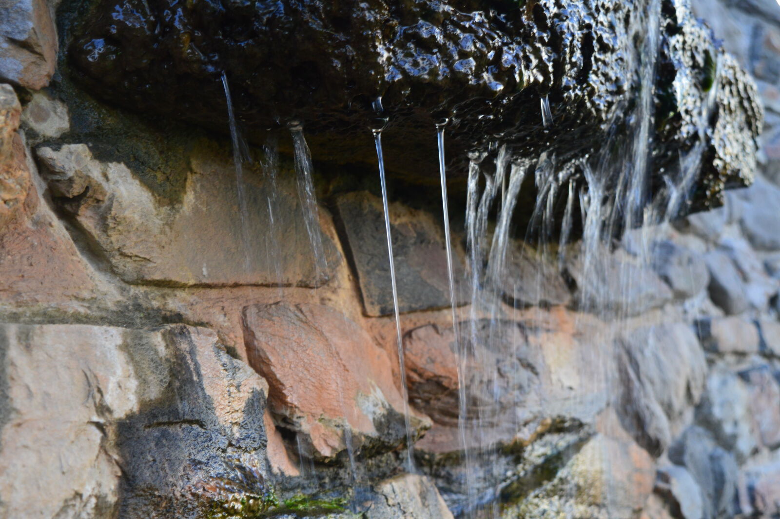 Nikon D3200 sample photo