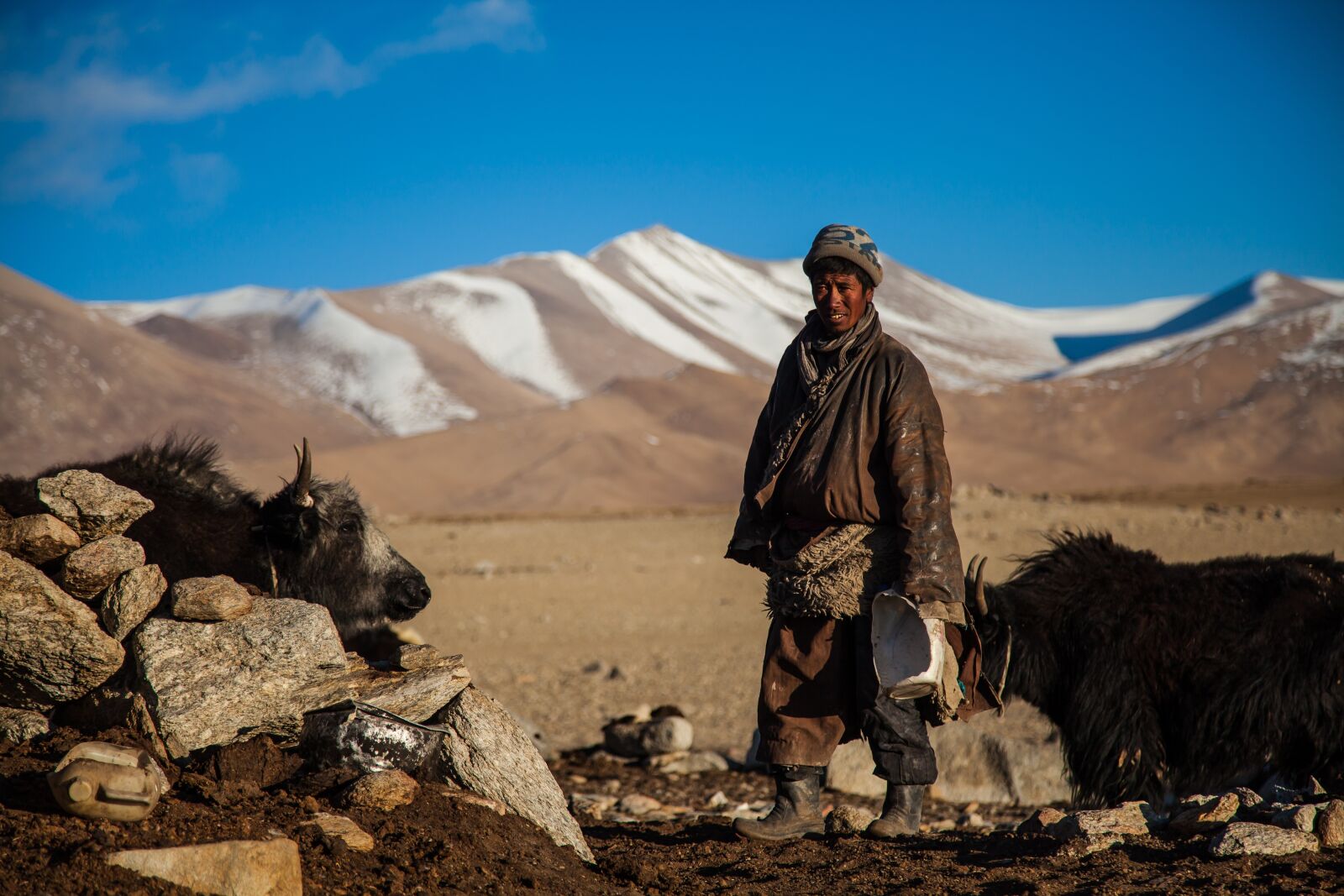 Canon EOS 5D Mark II sample photo. Yak, nomads, traditional photography