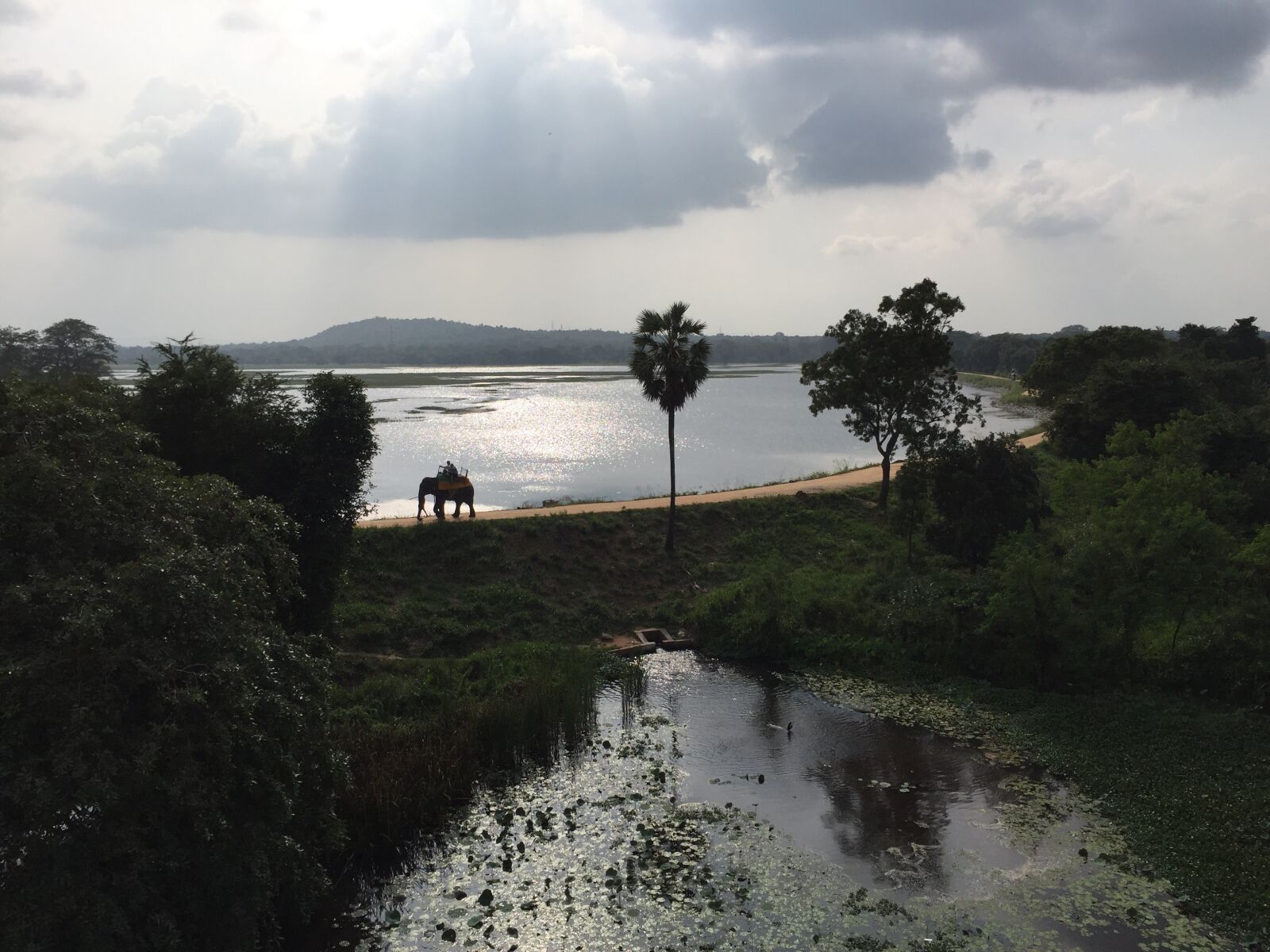 Apple iPhone 6 sample photo. Sri lanka, elephant, sigirya photography