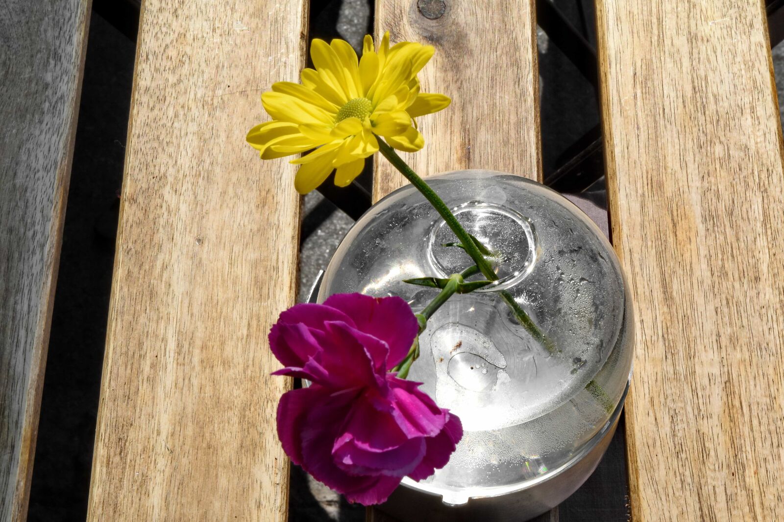 Nikon D5500 sample photo. Carnation, decoration, spring time photography