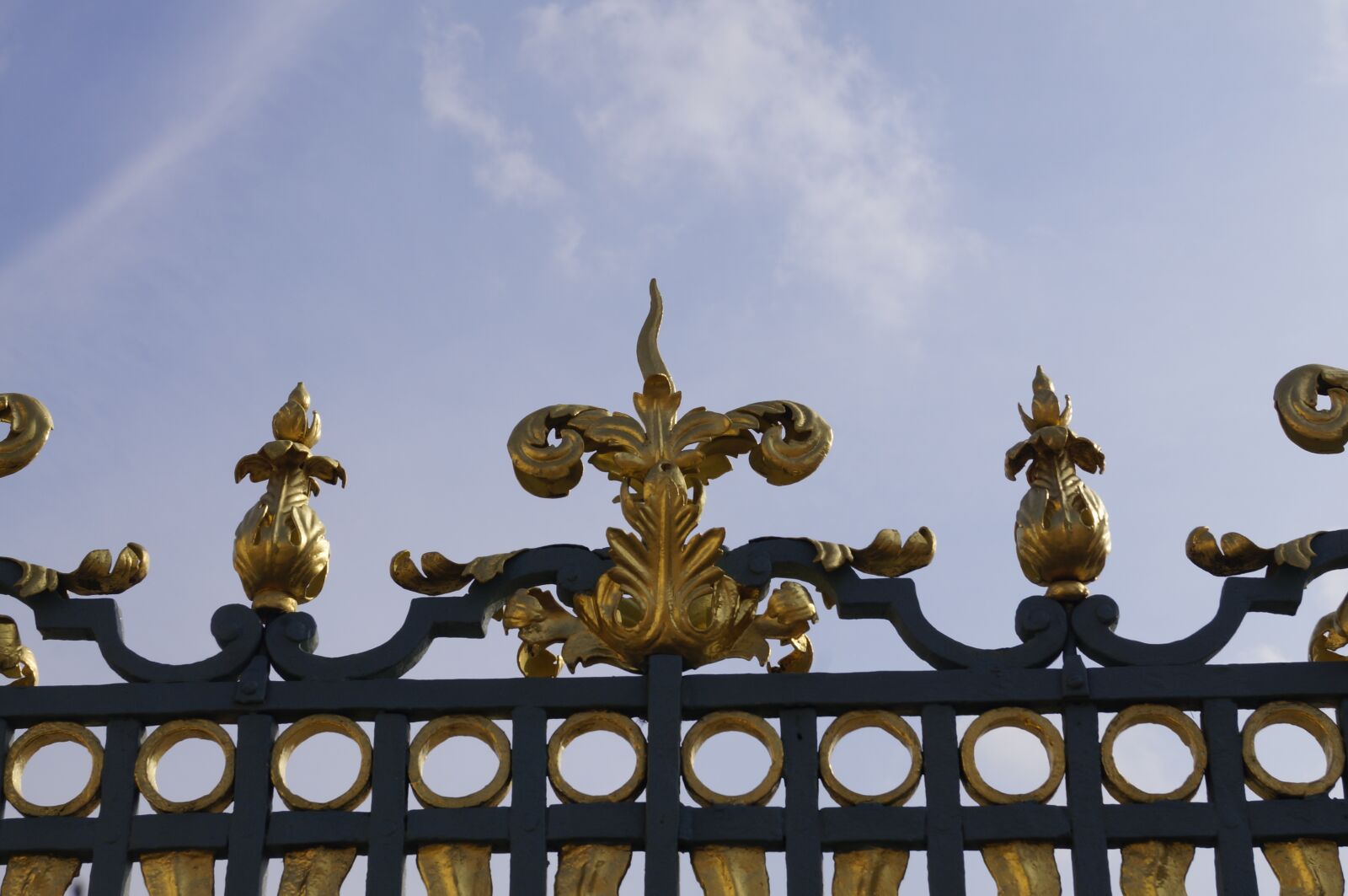 Sony SLT-A57 sample photo. Fence, gold, iron photography