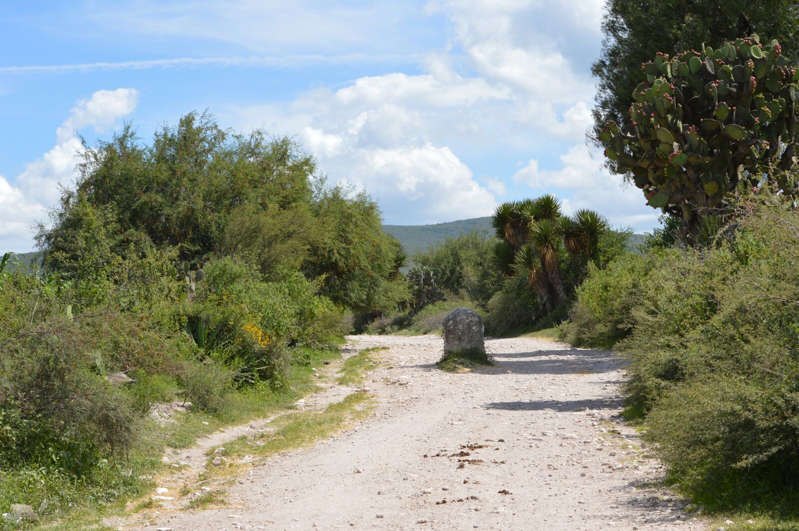 Nikon D3200 sample photo. Path, boundary, warning photography
