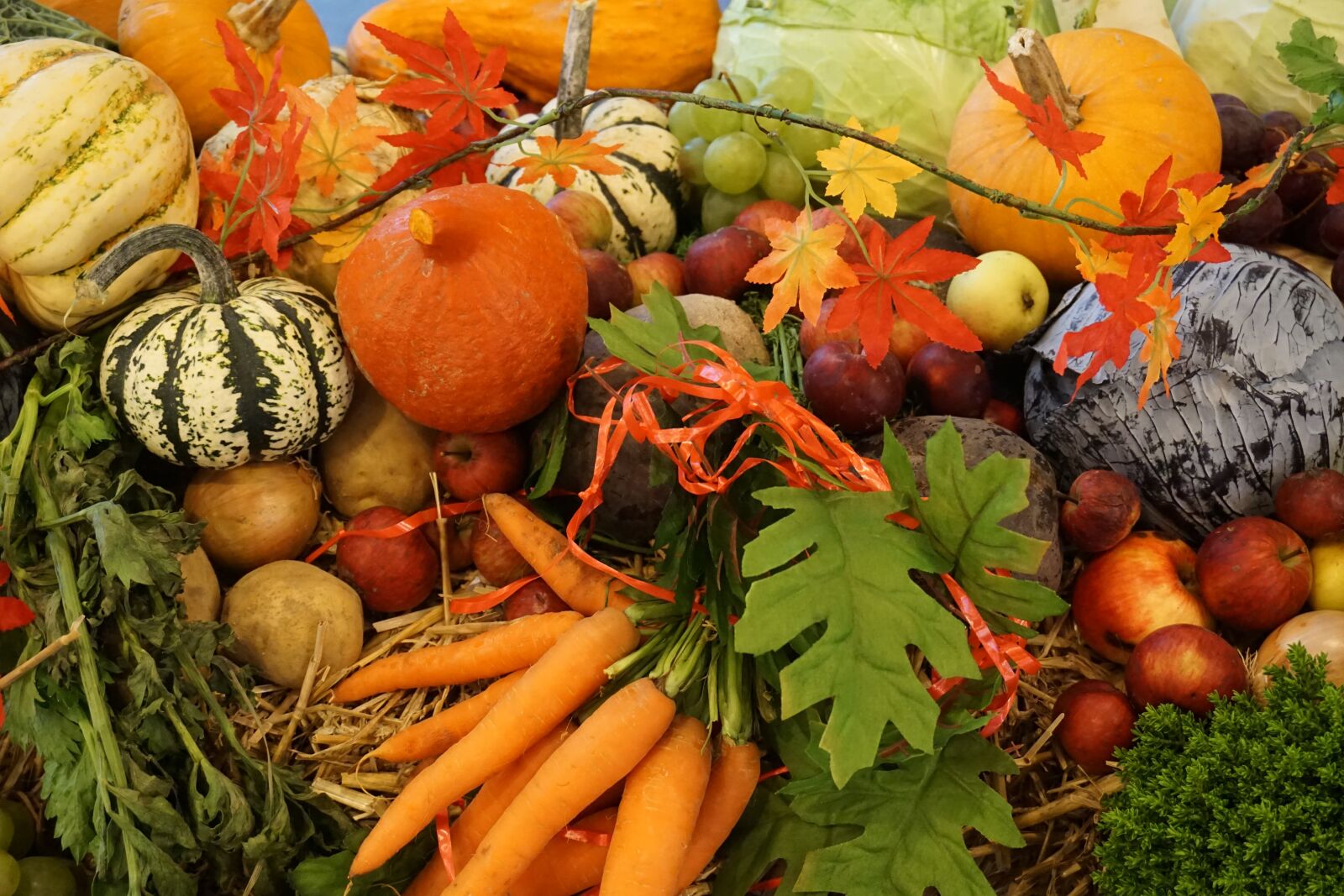 Sony a6000 sample photo. Autumn, autumn decoration, vegetables photography