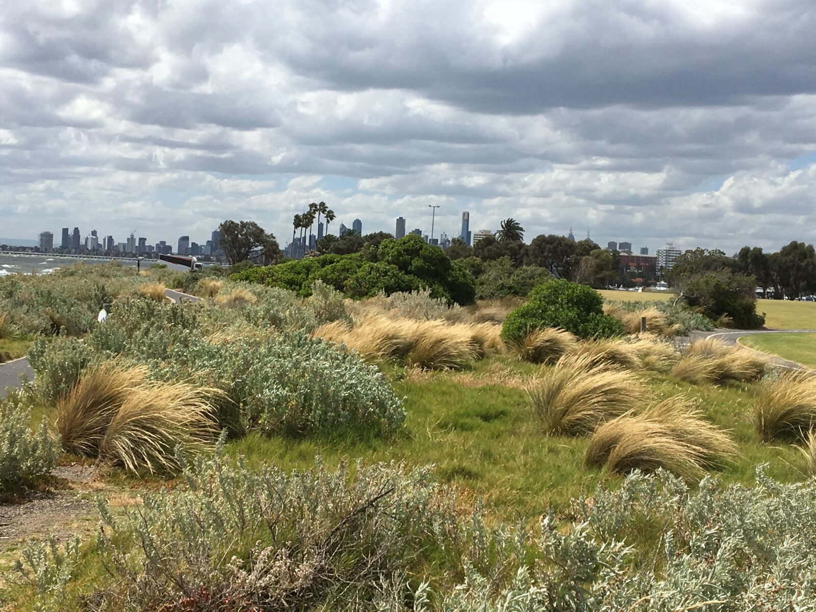 Apple iPhone 6s sample photo. Australia, grass, green photography