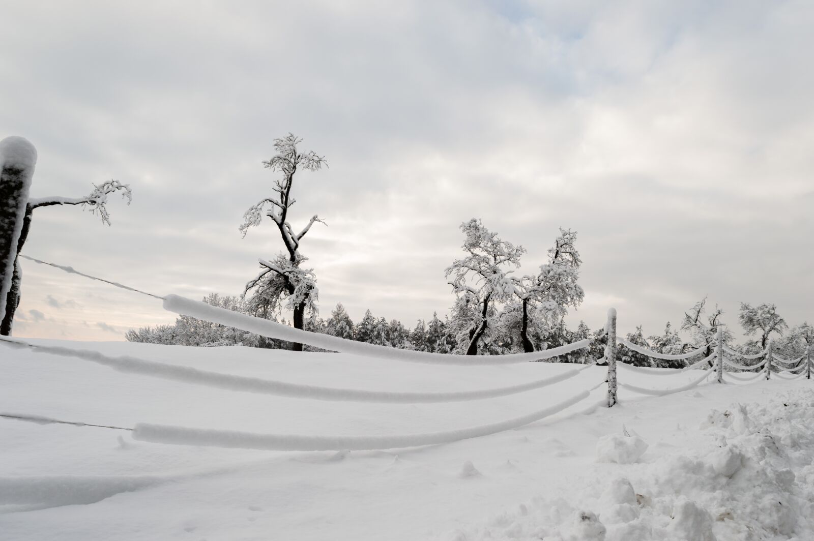 Nikon D3200 sample photo. Nature, snow, winter photography