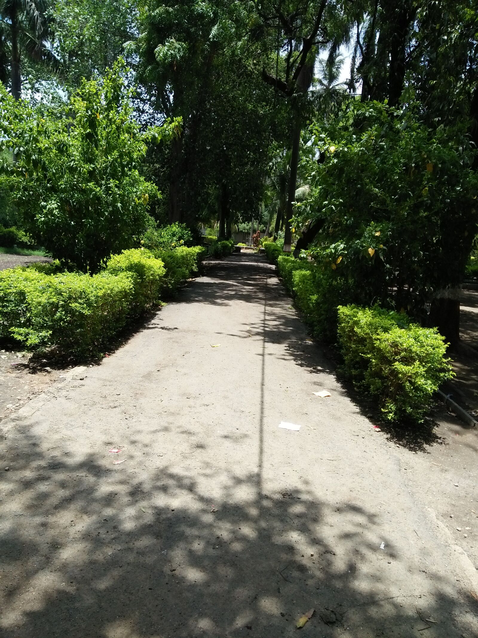OPPO A37fw-International sample photo