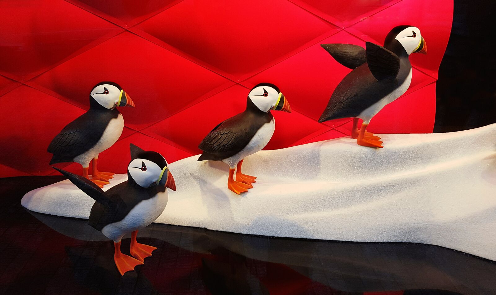 Samsung Galaxy S7 Edge sample photo. Puffin, shop window, arrangement photography