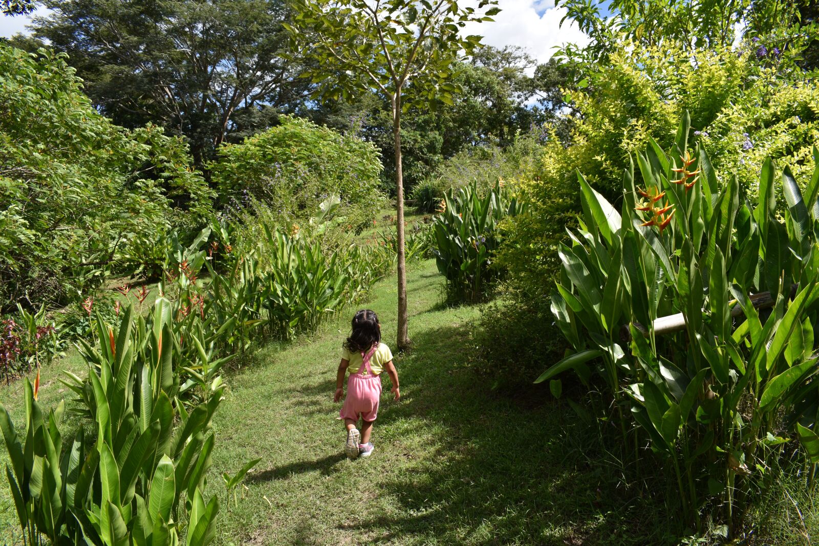 Nikon D3500 sample photo. Walk, adventure, nature photography