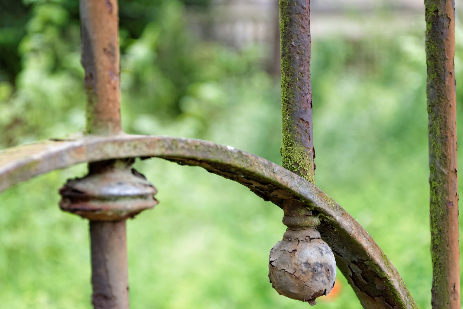 Nikon D5300 sample photo. Fence, abstract, macro photography