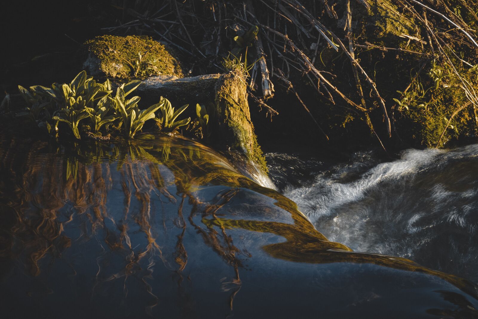 Nikon D500 sample photo. Water, nature, sun photography
