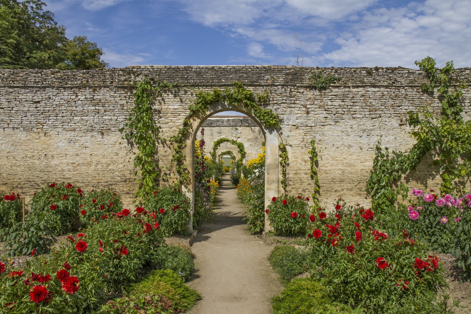 Canon EOS 7D sample photo. The castle of canon photography