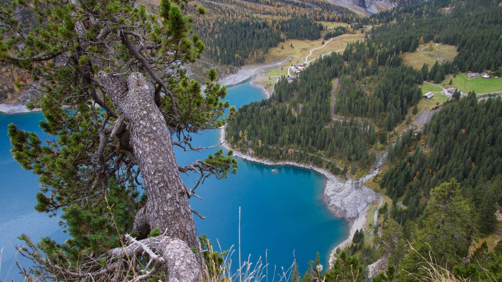 Canon EOS 7D sample photo. Bergsee, tree, lake oeschinen photography