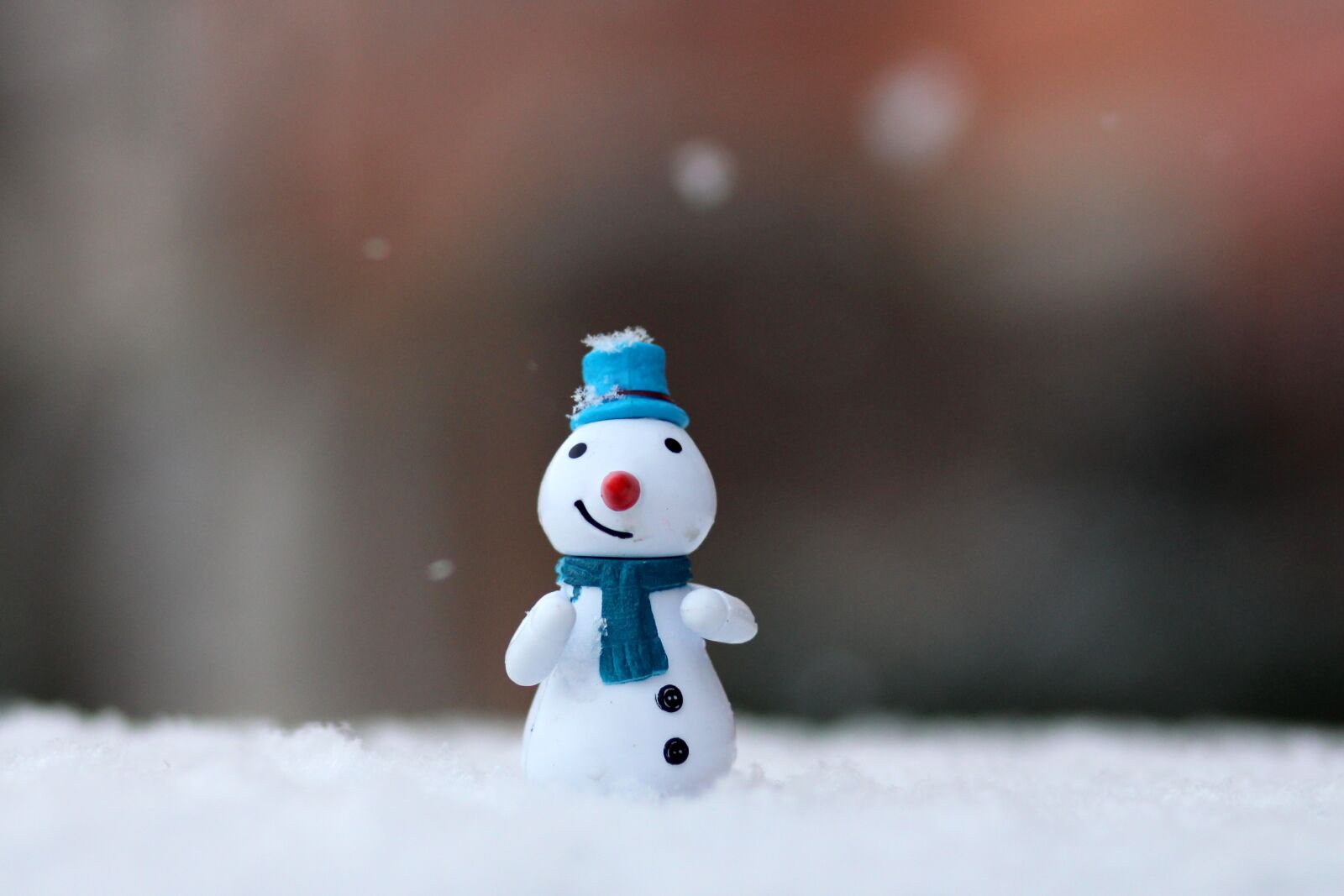 Canon EOS 700D (EOS Rebel T5i / EOS Kiss X7i) + Canon EF 85mm F1.8 USM sample photo. Decoration, winter, christmas photography