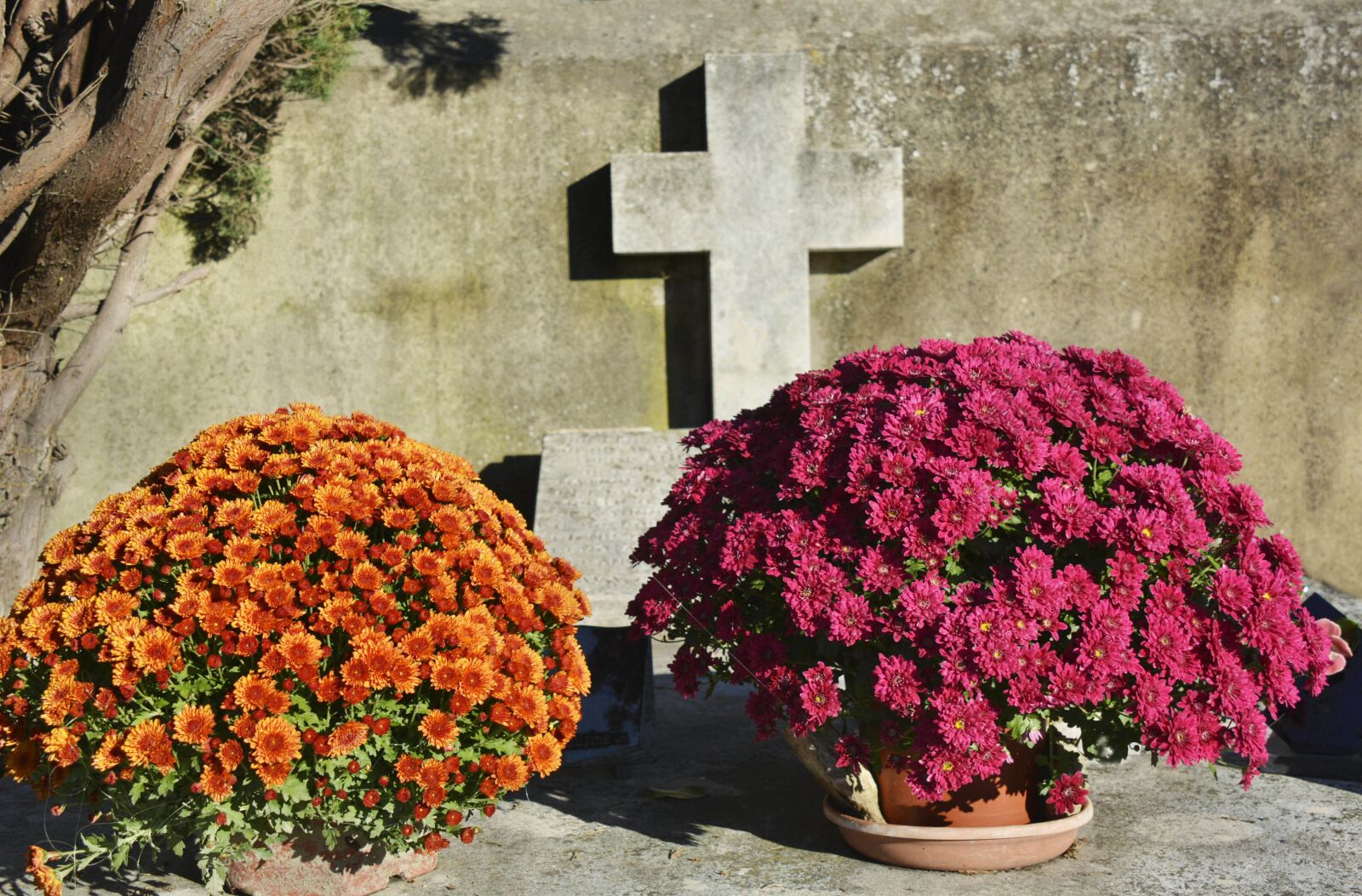 Nikon D7100 sample photo. Toussaint, cemetery, cross photography