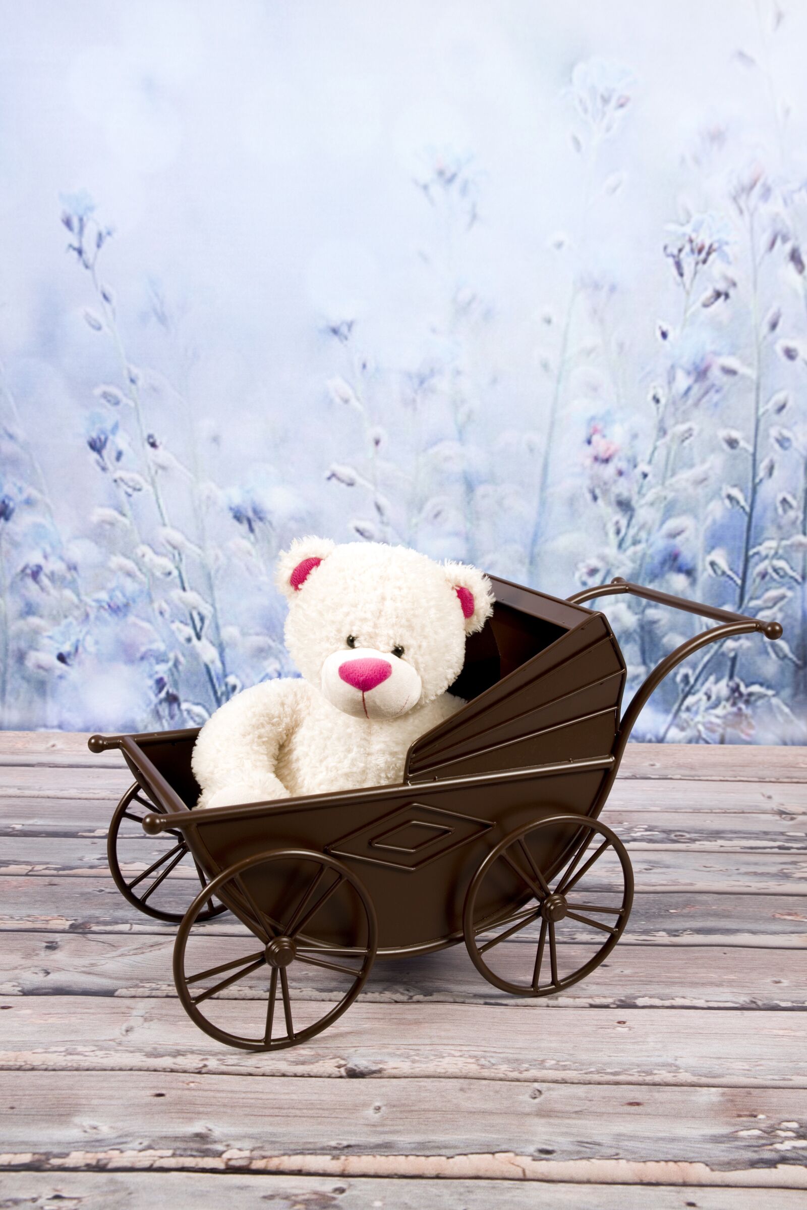 Nikon D800 sample photo. Teddy bear, plush, toy photography