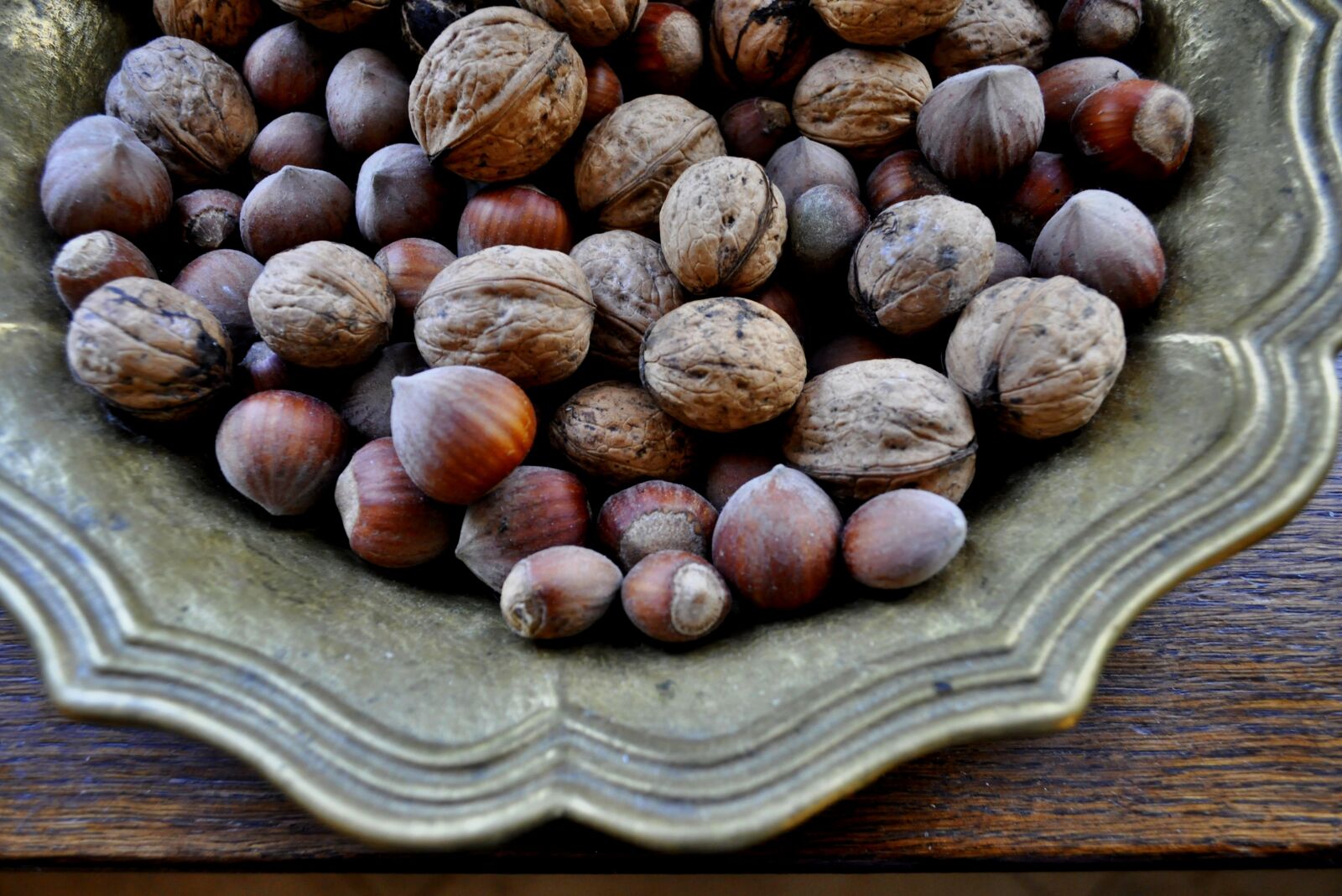 Nikon D5000 sample photo. Eating, seed, healthy photography