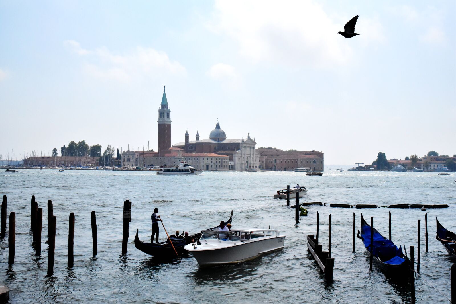Nikon D750 sample photo. Venice, italy, watertown photography