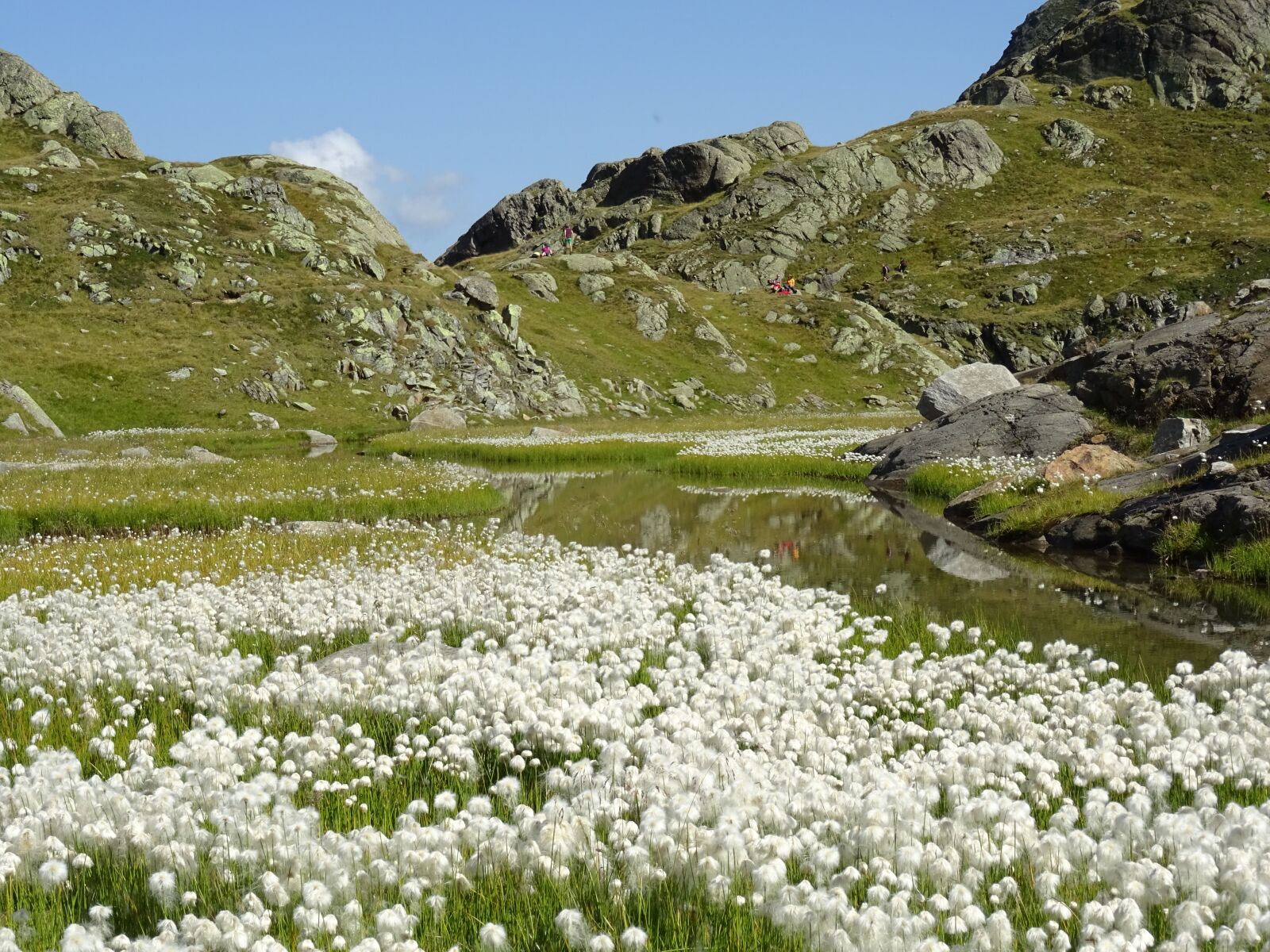 Sony DSC-HX60 sample photo. Alpine, stubai, mountains photography